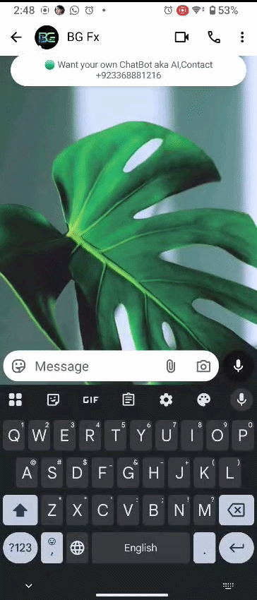 WhatsSender Platform